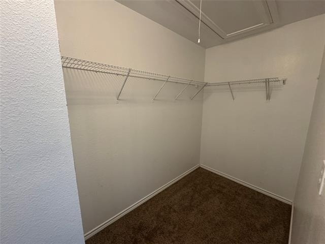 8905 Stewart Street - Photo 15