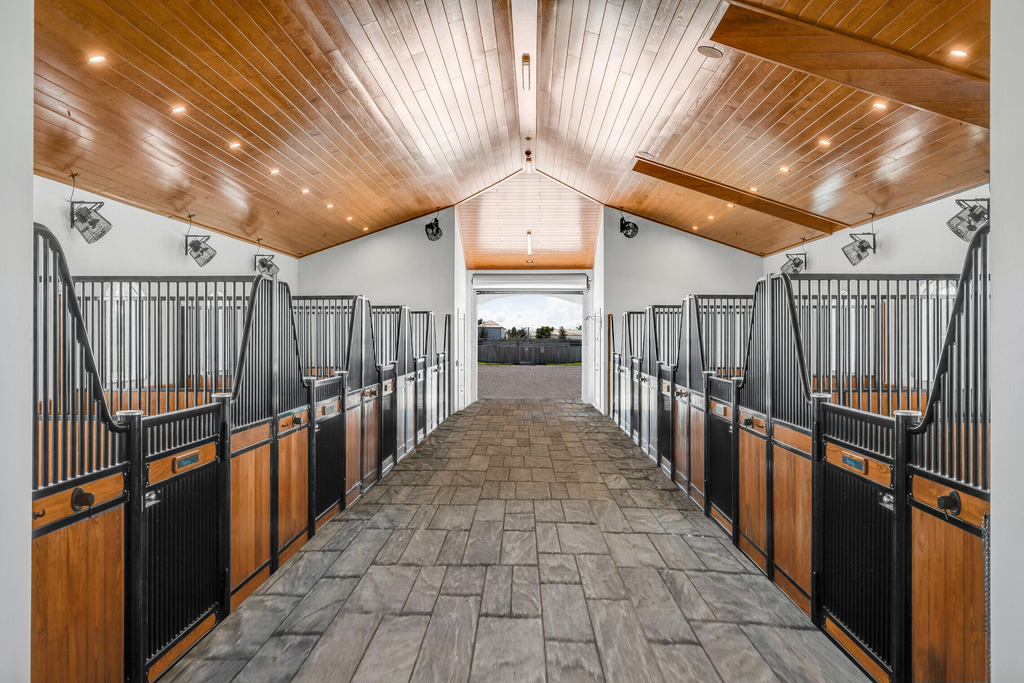 5181 Lasso Way - Photo 10