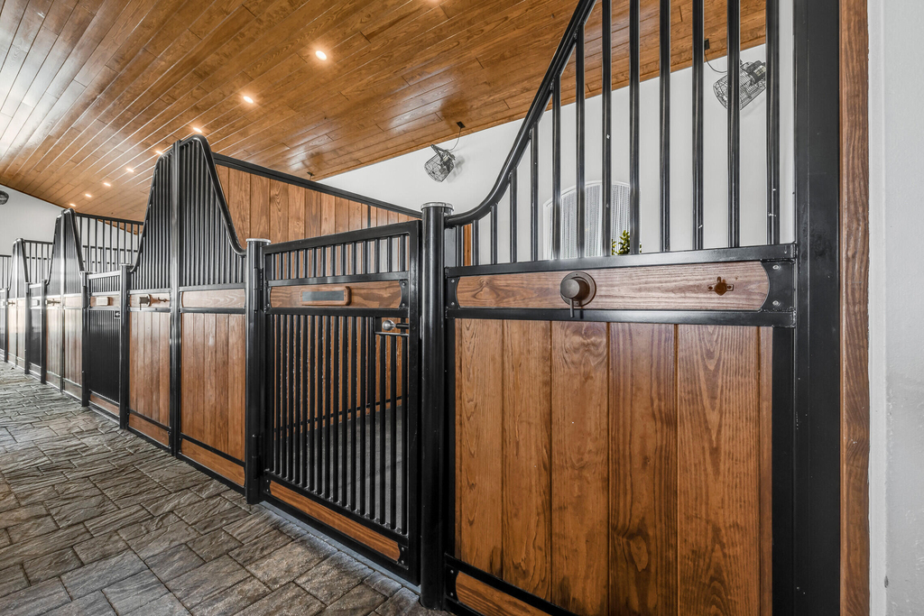 5181 Lasso Way - Photo 1