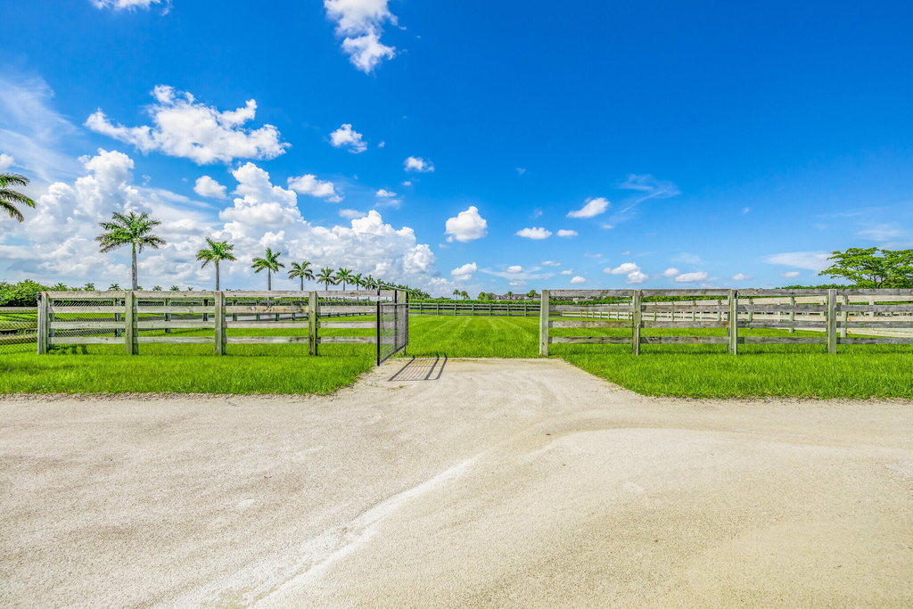5181 Lasso Way - Photo 14