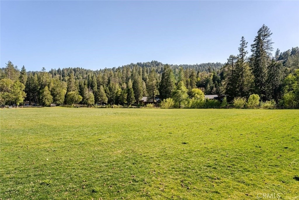 24656 Bernard - Photo 45