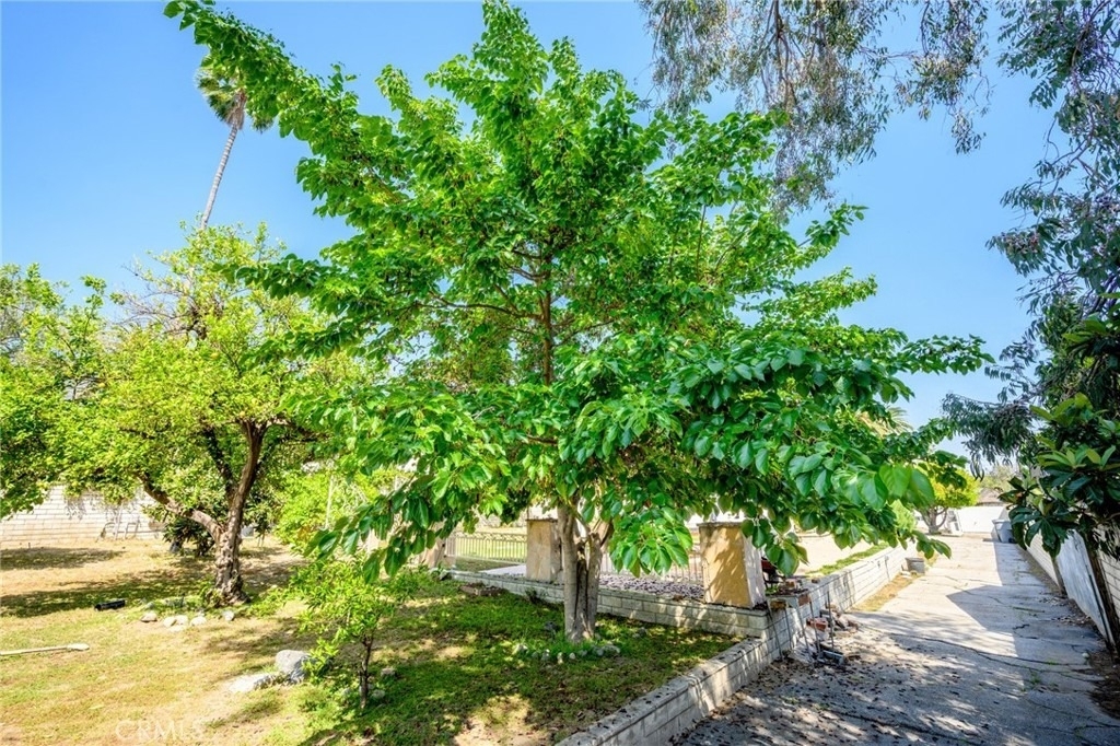 1635 Grandview Avenue - Photo 40