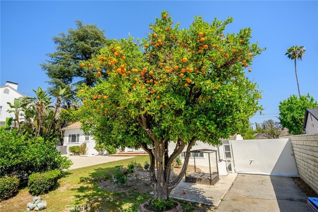 1635 Grandview Avenue - Photo 35