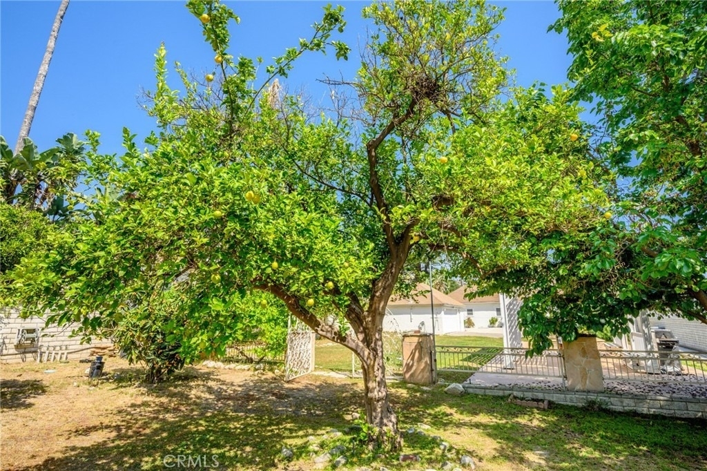 1635 Grandview Avenue - Photo 39