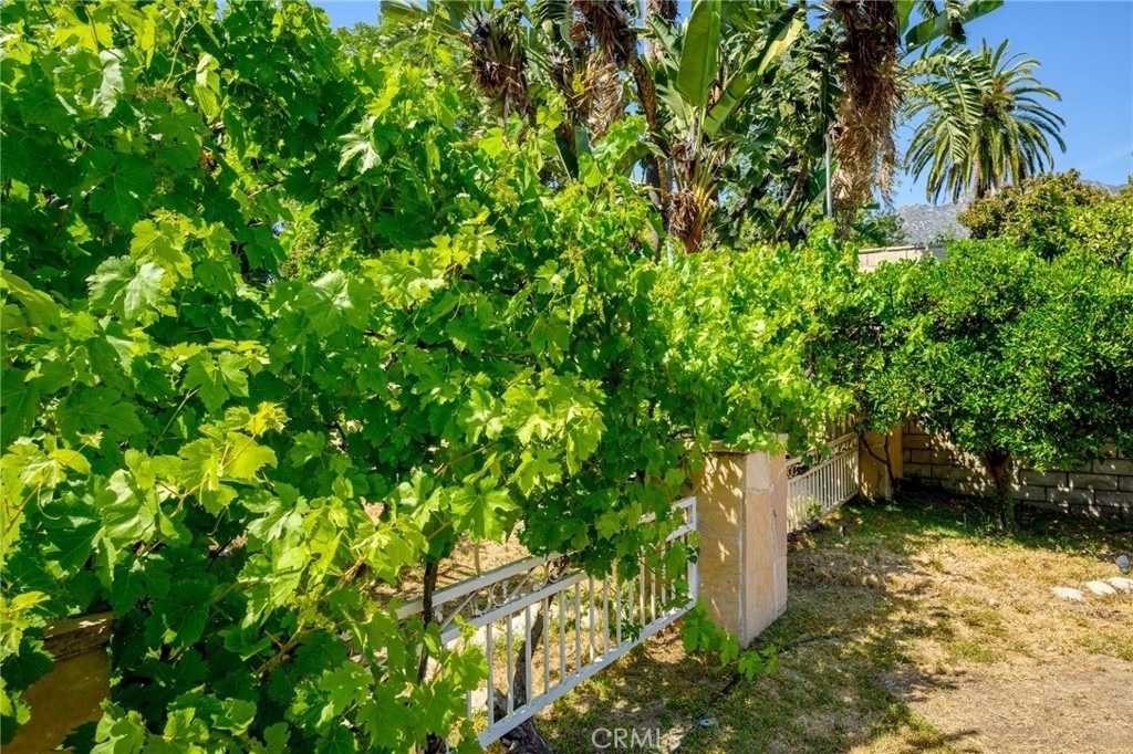 1635 Grandview Avenue - Photo 42