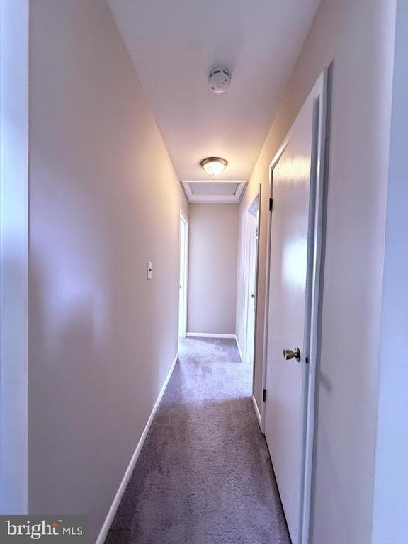 8703 34th Avenue - Photo 14