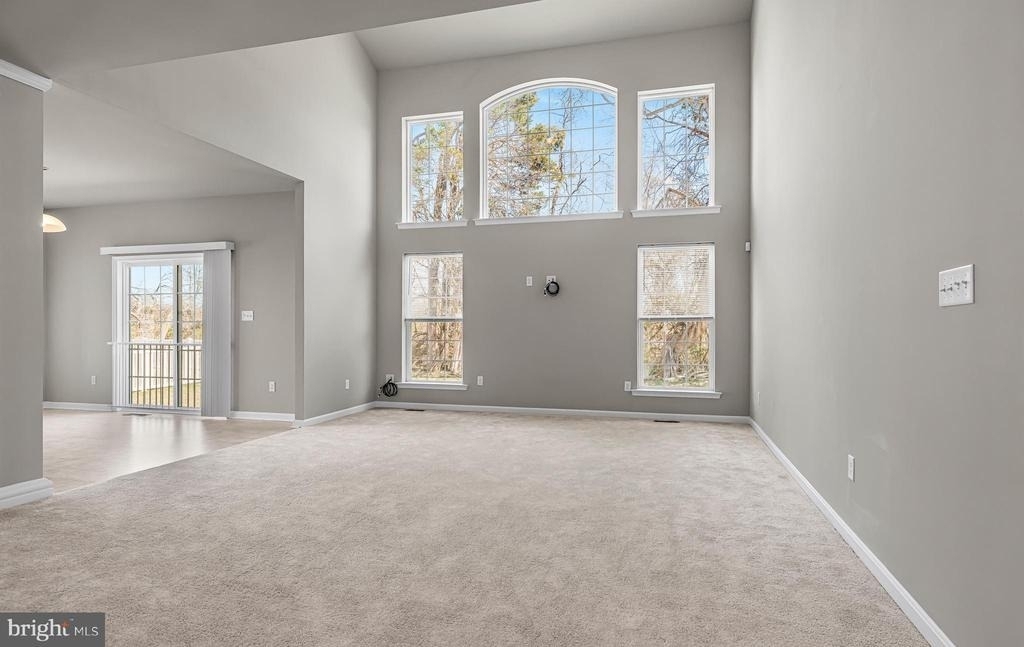 243 Wavyleaf Drive - Photo 7