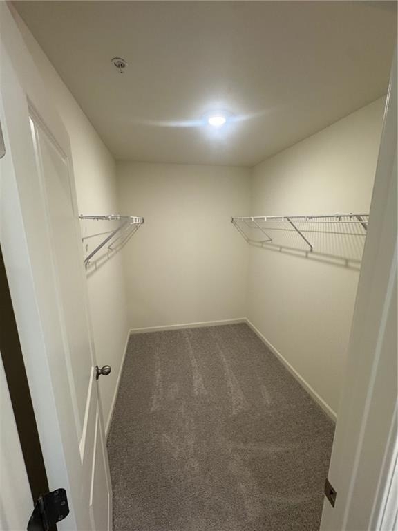 3009 Acacia Circle - Photo 11