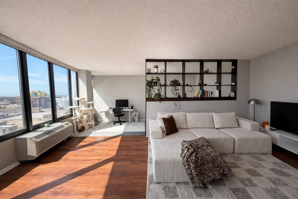 5320 N Sheridan Road - Photo 2