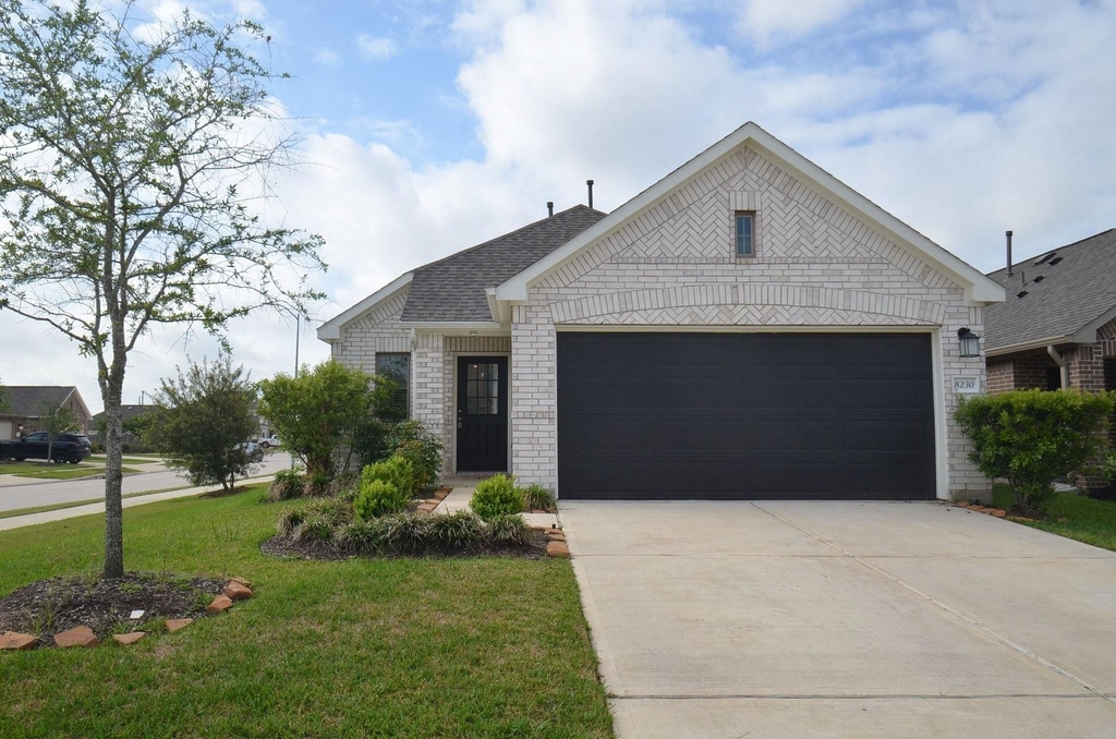 8230 Blue Fish Drive - Photo 13