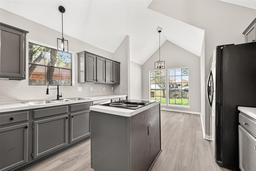 4906 Pleasure Lake Lane - Photo 13