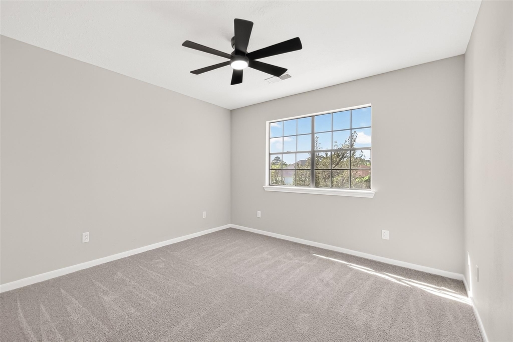 4906 Pleasure Lake Lane - Photo 39
