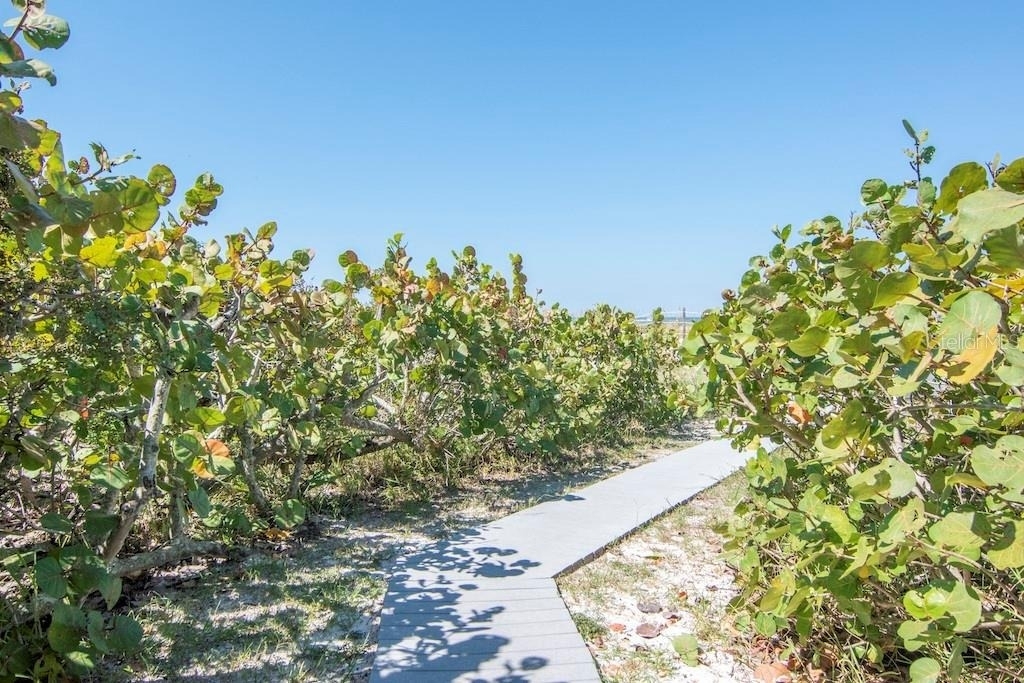 3200 Gulf Boulevard - Photo 39