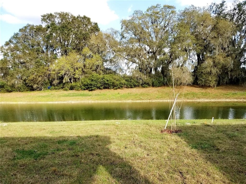 4923 Rolling Green Drive - Photo 2
