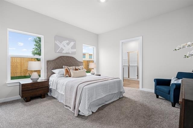 3925 Starry Night Cove - Photo 3