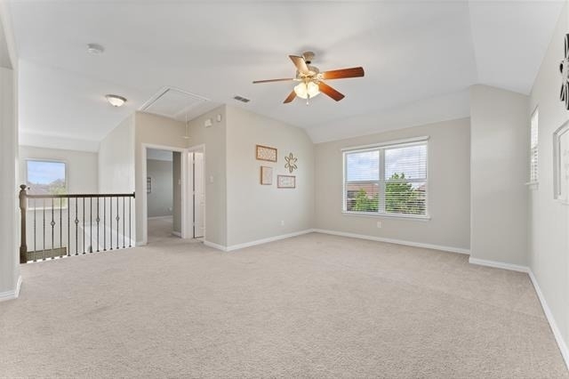 3122 Spring Creek Trail - Photo 19