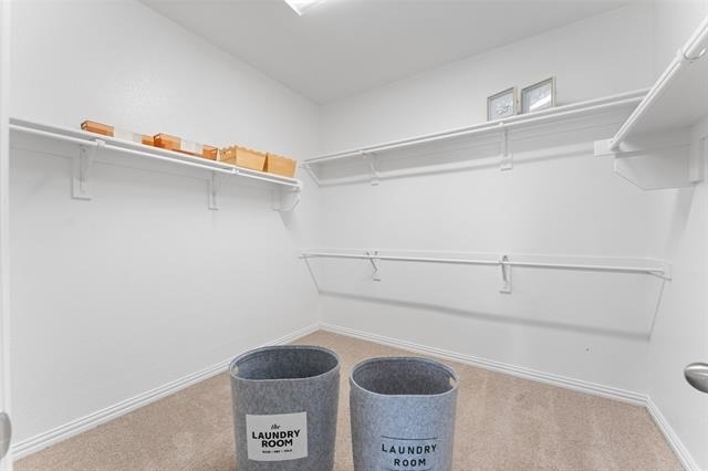 3122 Spring Creek Trail - Photo 16