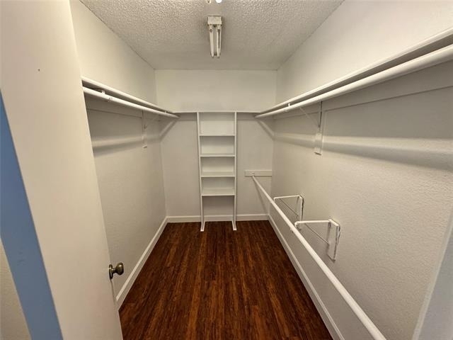 781 Pierre Lane - Photo 14