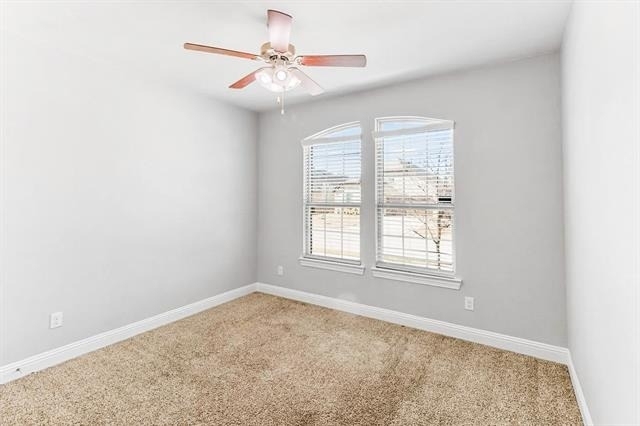 11324 Blaze Street - Photo 14
