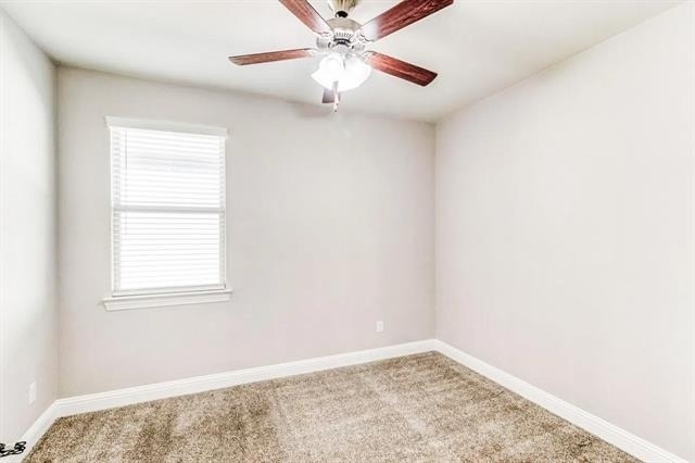 11324 Blaze Street - Photo 16