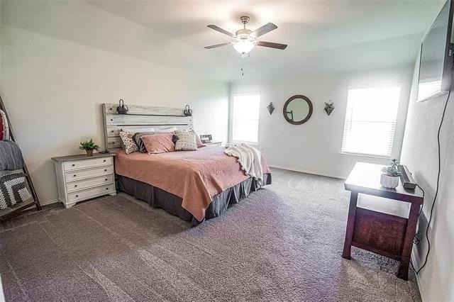 5344 Brahma Trail - Photo 17