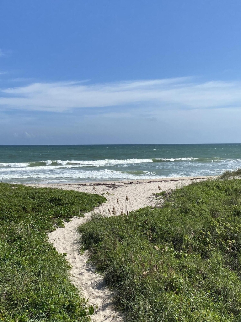 5049 N Highway A1a - Photo 19