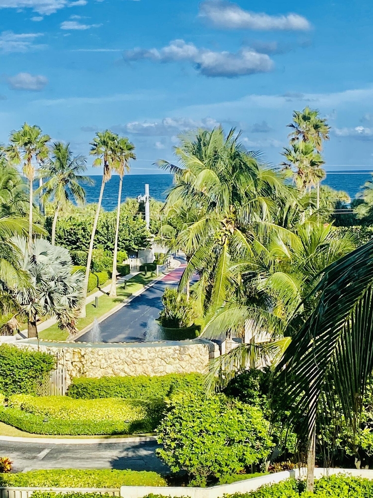 5049 N Highway A1a - Photo 0