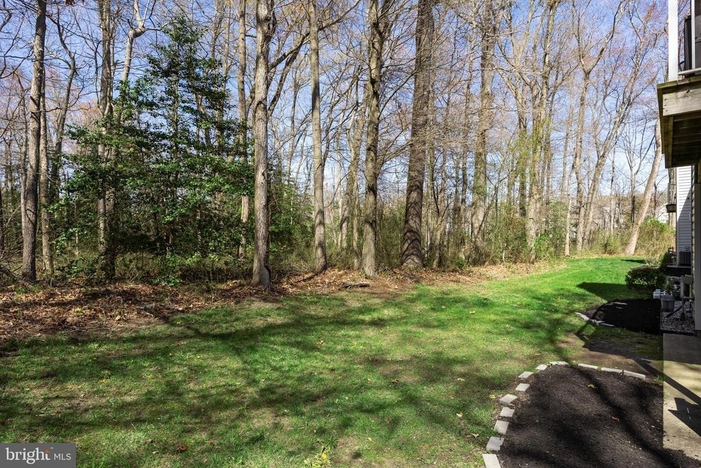 703 Quail Road - Photo 15