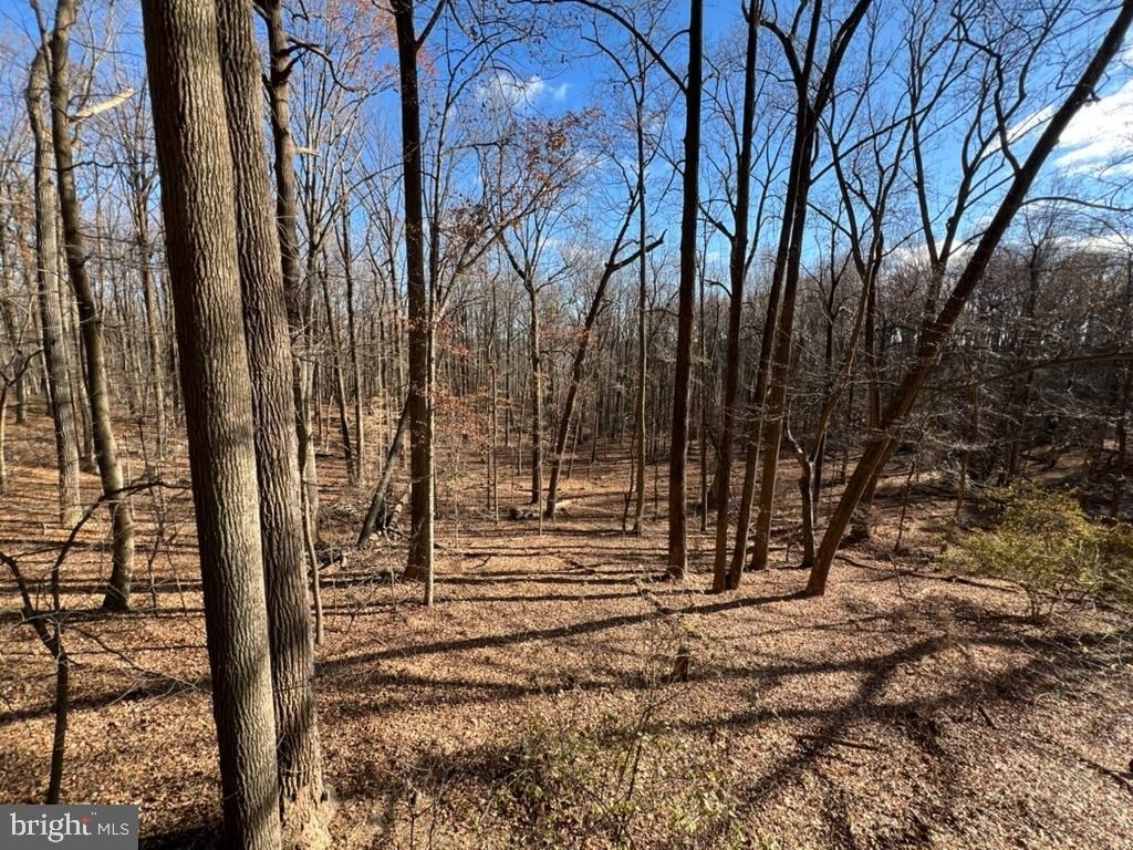 12889 Eagles View Road - Photo 8