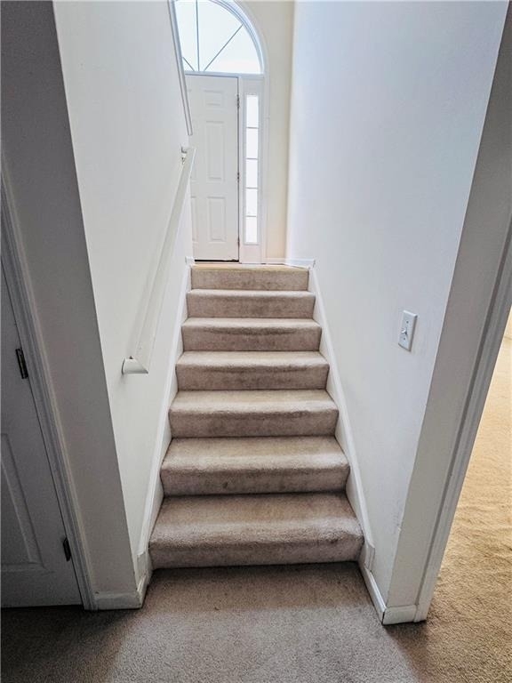 3165 Chandon Lane - Photo 9