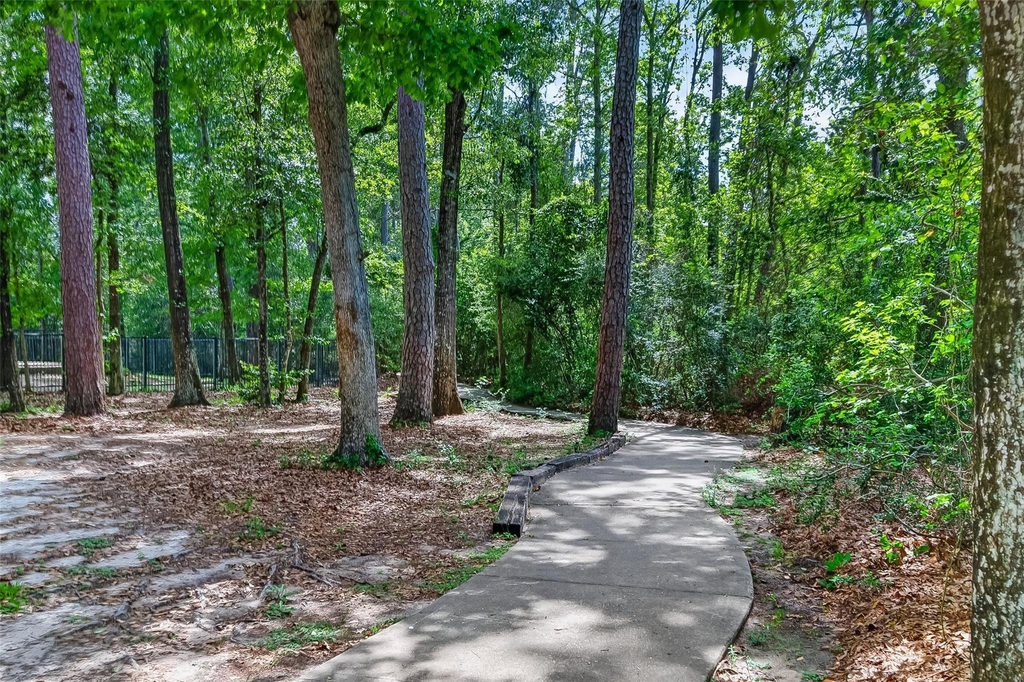 31722 Royal Woods Court - Photo 35