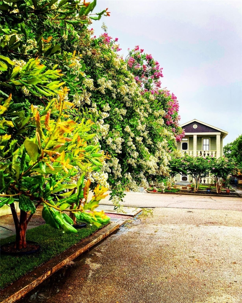 2010 Strand St - Photo 13