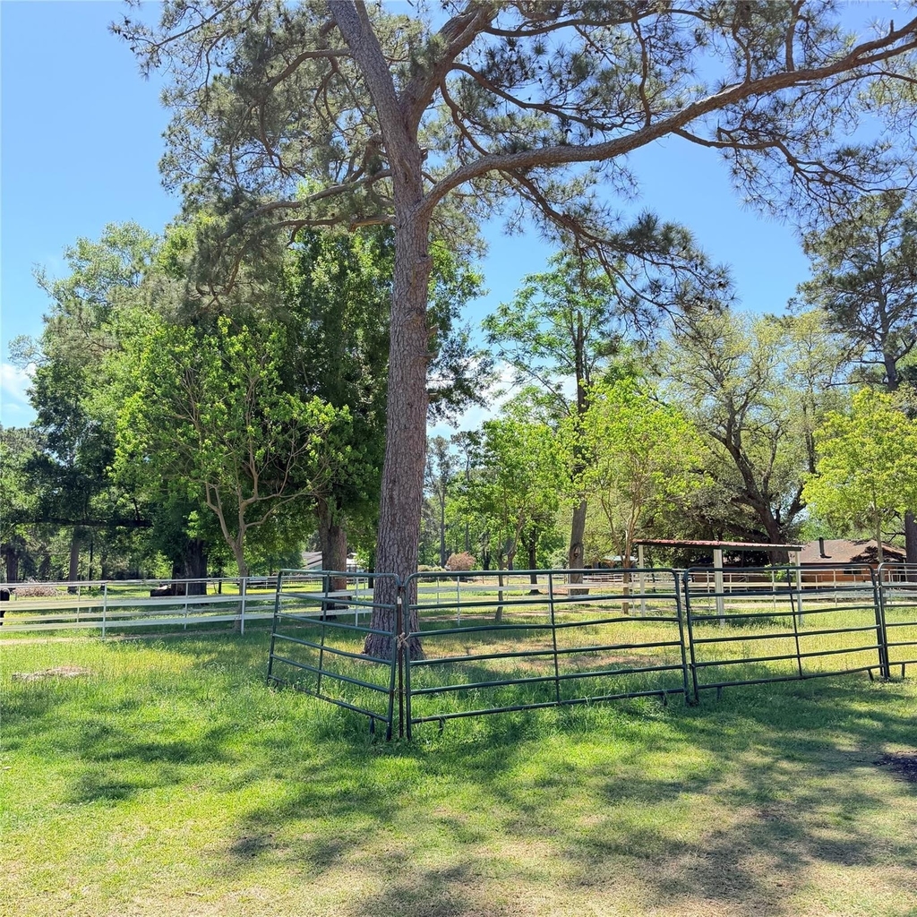 26427 1/2 Dobbin Huffsmith Rd Road - Photo 1