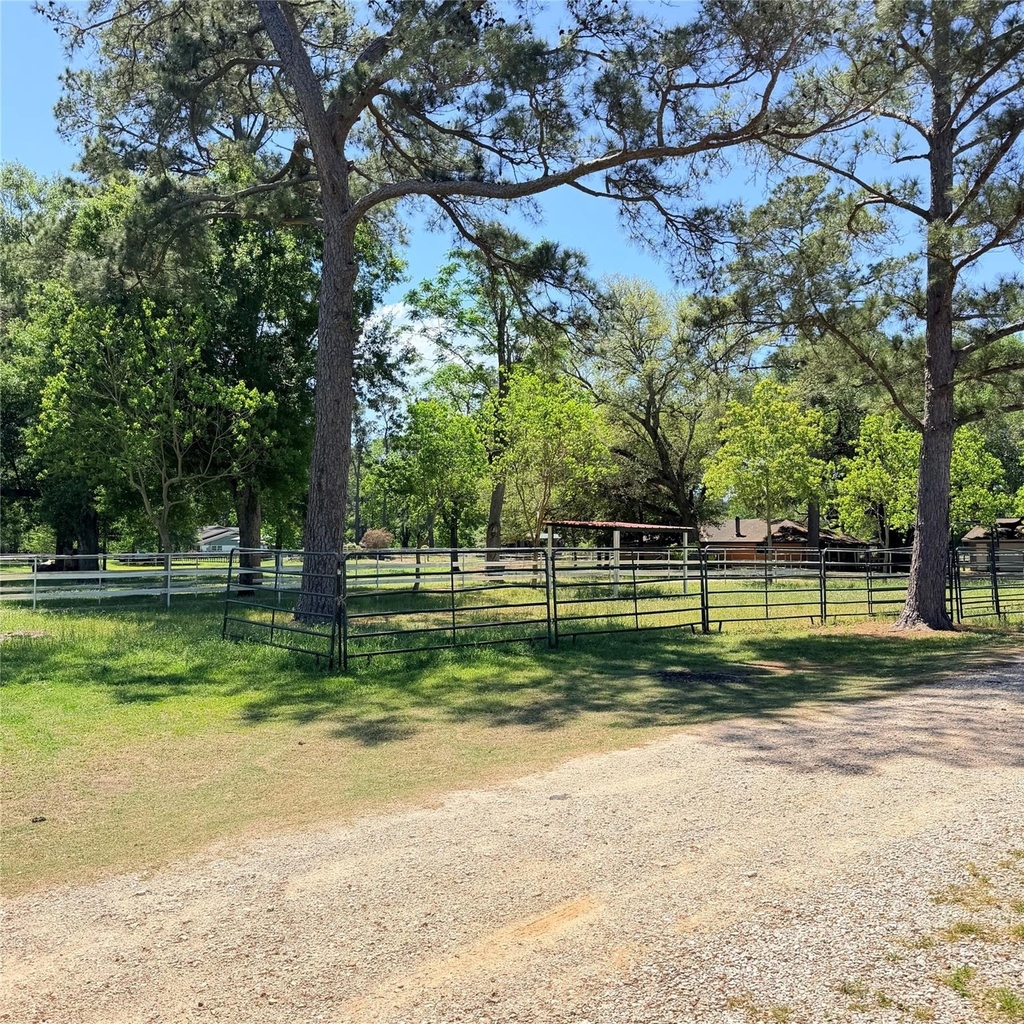 26427 1/2 Dobbin Huffsmith Rd Road - Photo 21