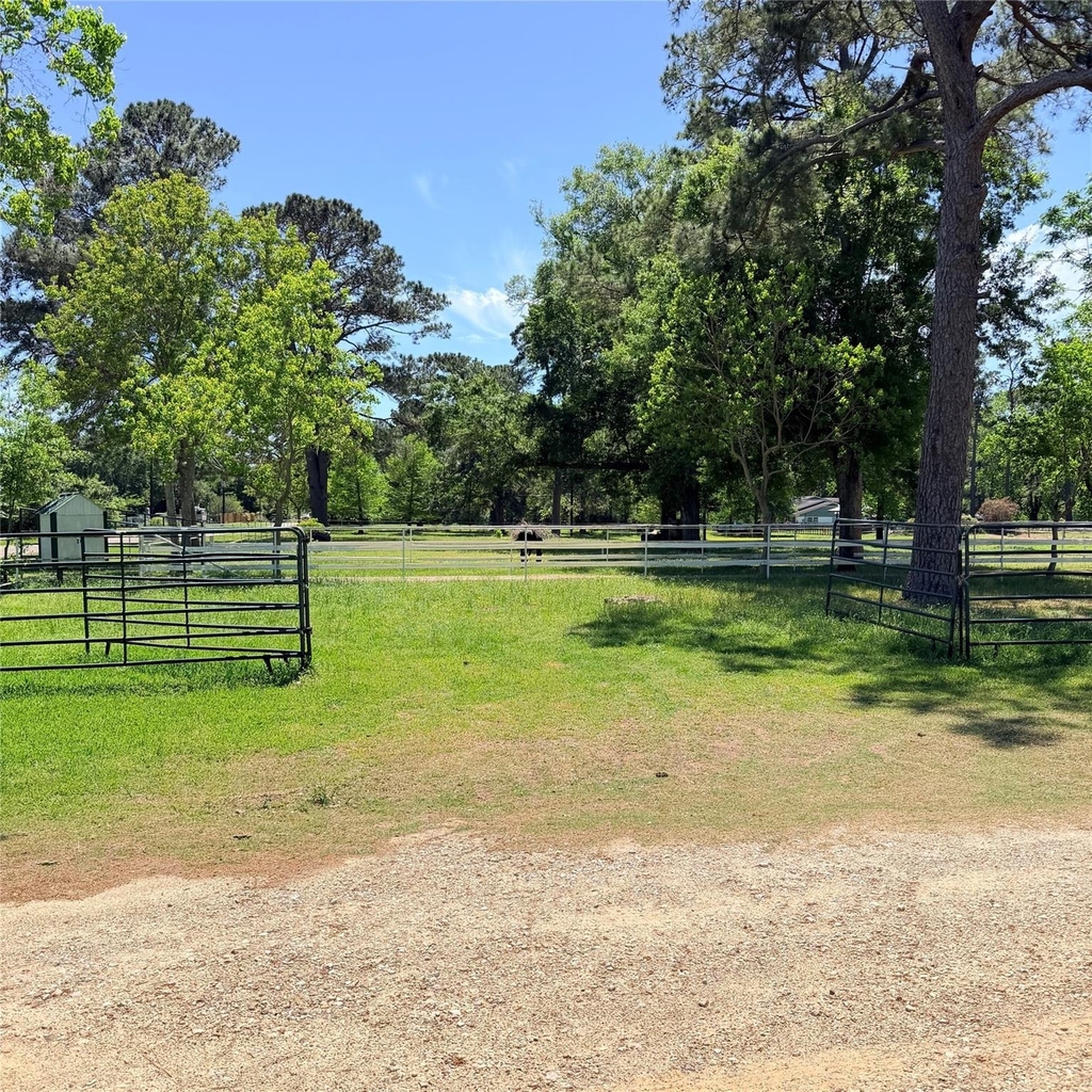 26427 1/2 Dobbin Huffsmith Rd Road - Photo 22