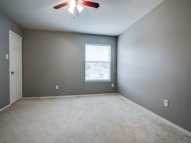 10120 Cherry Hill Lane - Photo 21