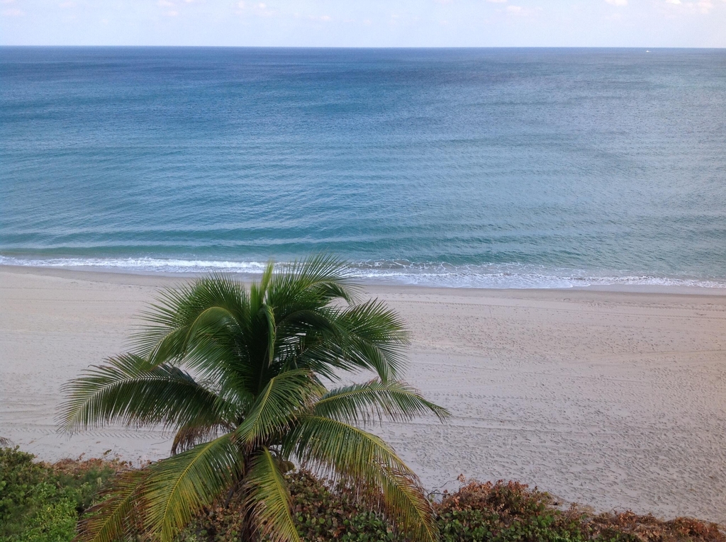2909 S Ocean Boulevard - Photo 3