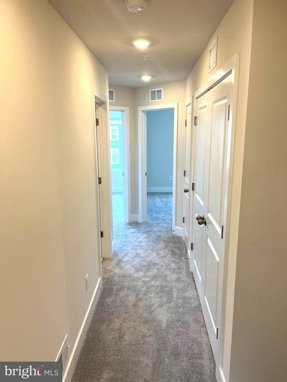 1813 Ritter Drive - Photo 10