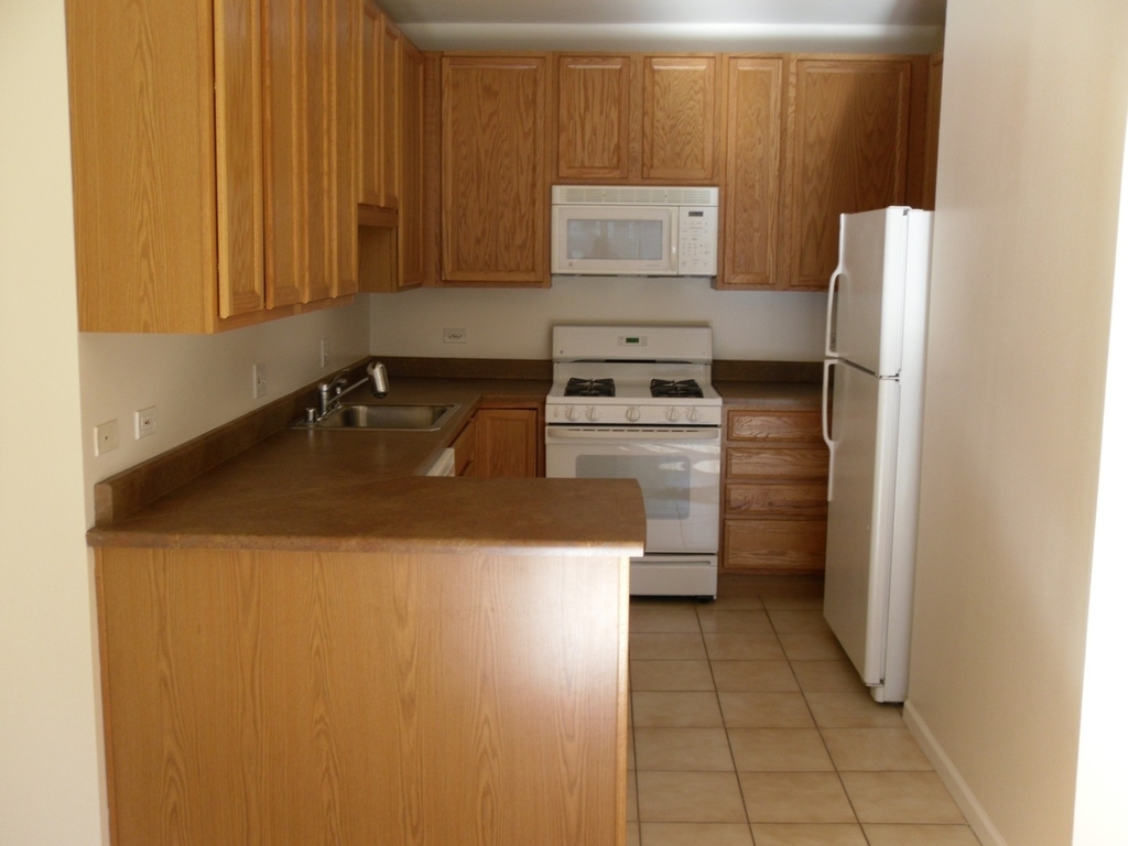 600 N Dearborn Street - Photo 4