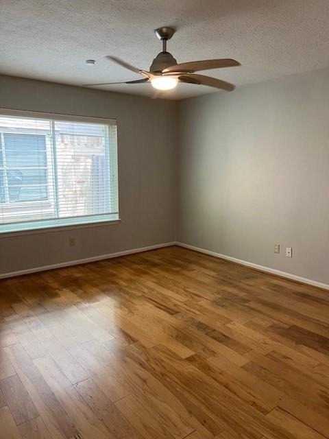 7407 Navidad Rd - Photo 15