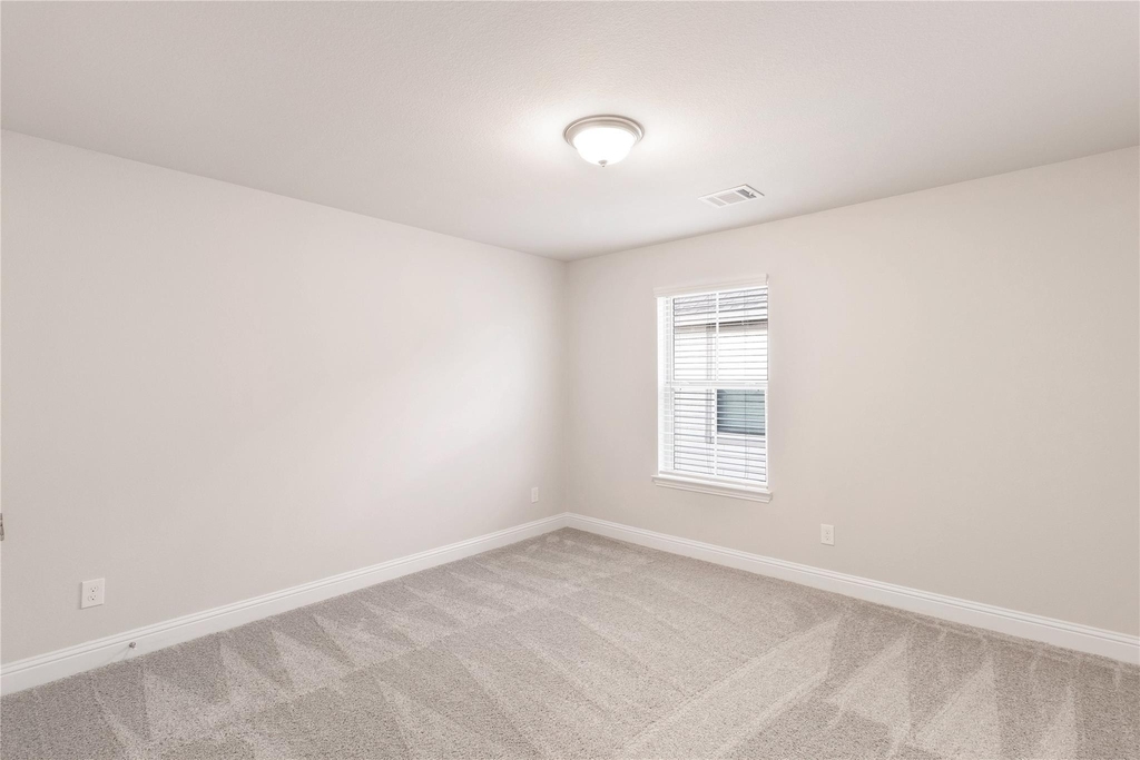 457 Aurora Creek Lane - Photo 19