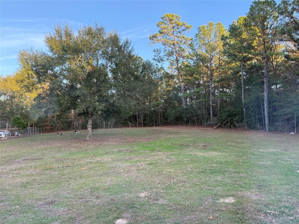 3074 S Fm 1486 Road - Photo 1
