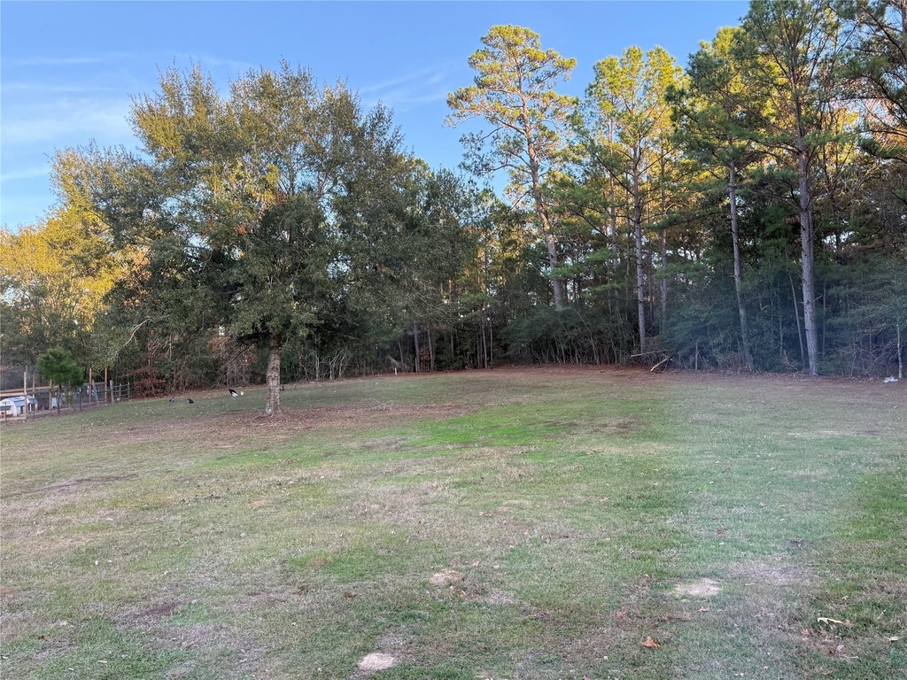 3074 S Fm 1486 Road - Photo 13