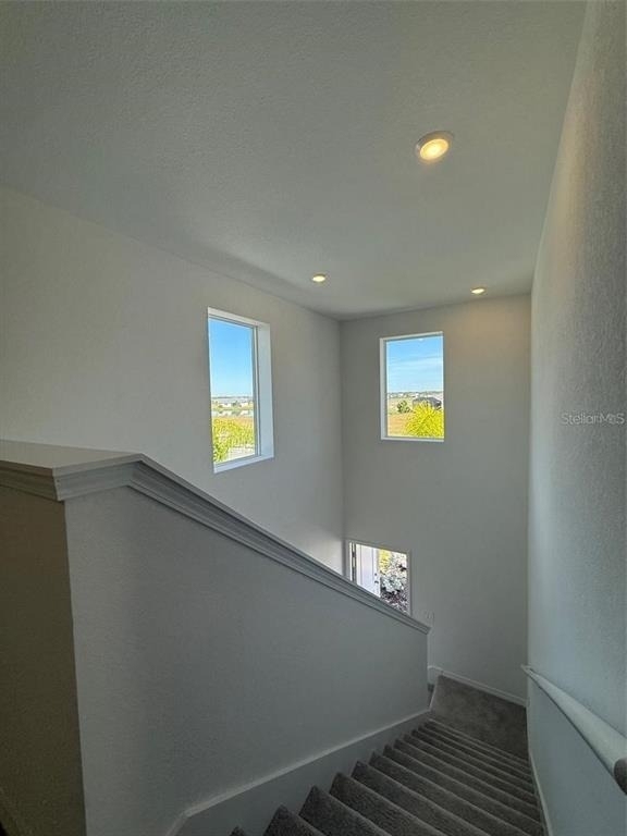 11795 Cloverly Lane - Photo 17