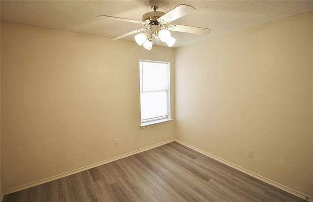 609 Blueberry Hill Lane - Photo 14