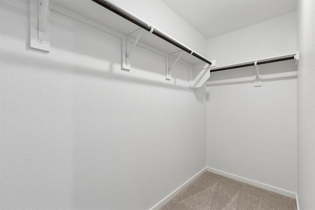 216 Asterwood Lane - Photo 13