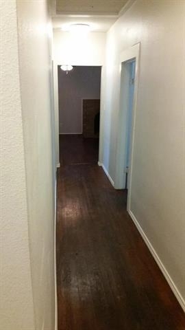304 Fulton Street - Photo 12
