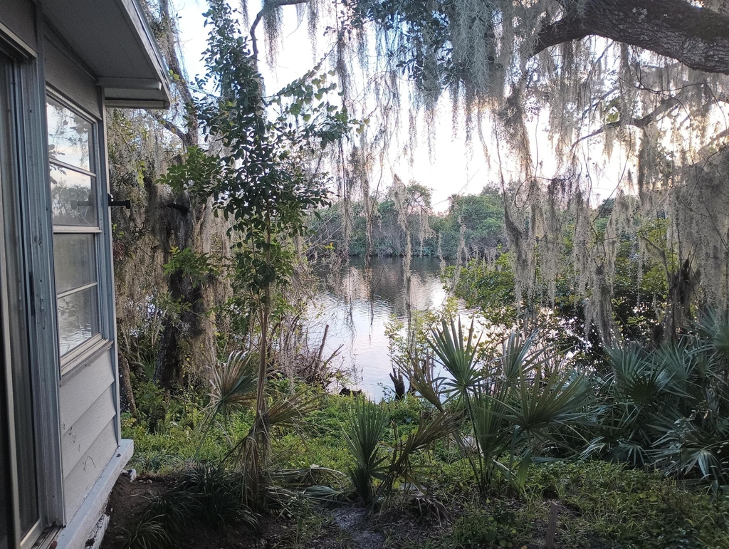 5 Quintana Roo Court - Photo 2