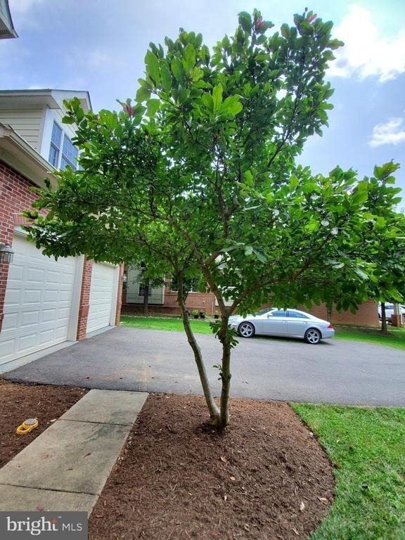 3301 Buckley Street - Photo 5