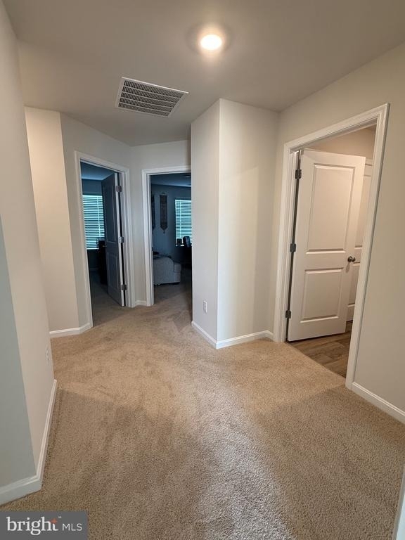 115 Grasmere Street - Photo 14